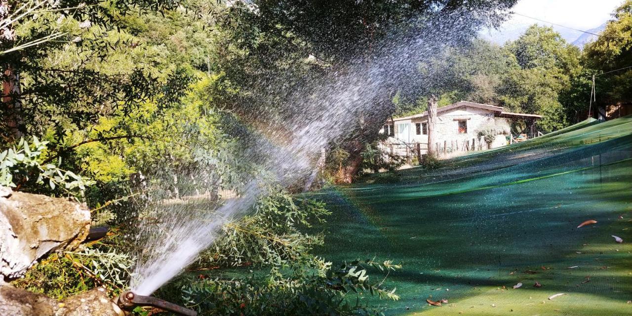 Agricamping Ponteraggio N.1 Hotel Dolceacqua Exterior photo